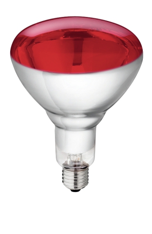 SPAARLAMP WIT/ROOD